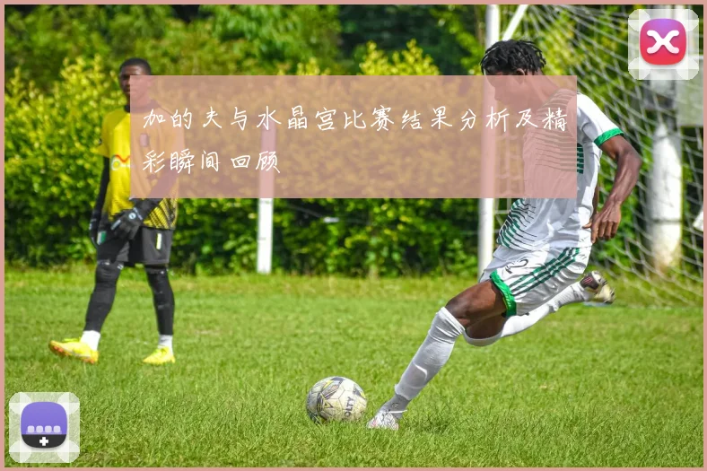 加的夫与水晶宫比赛结果分析及精彩瞬间回顾